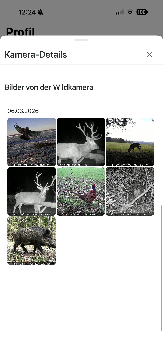 WildCam-Fotos in der MyHunt-App