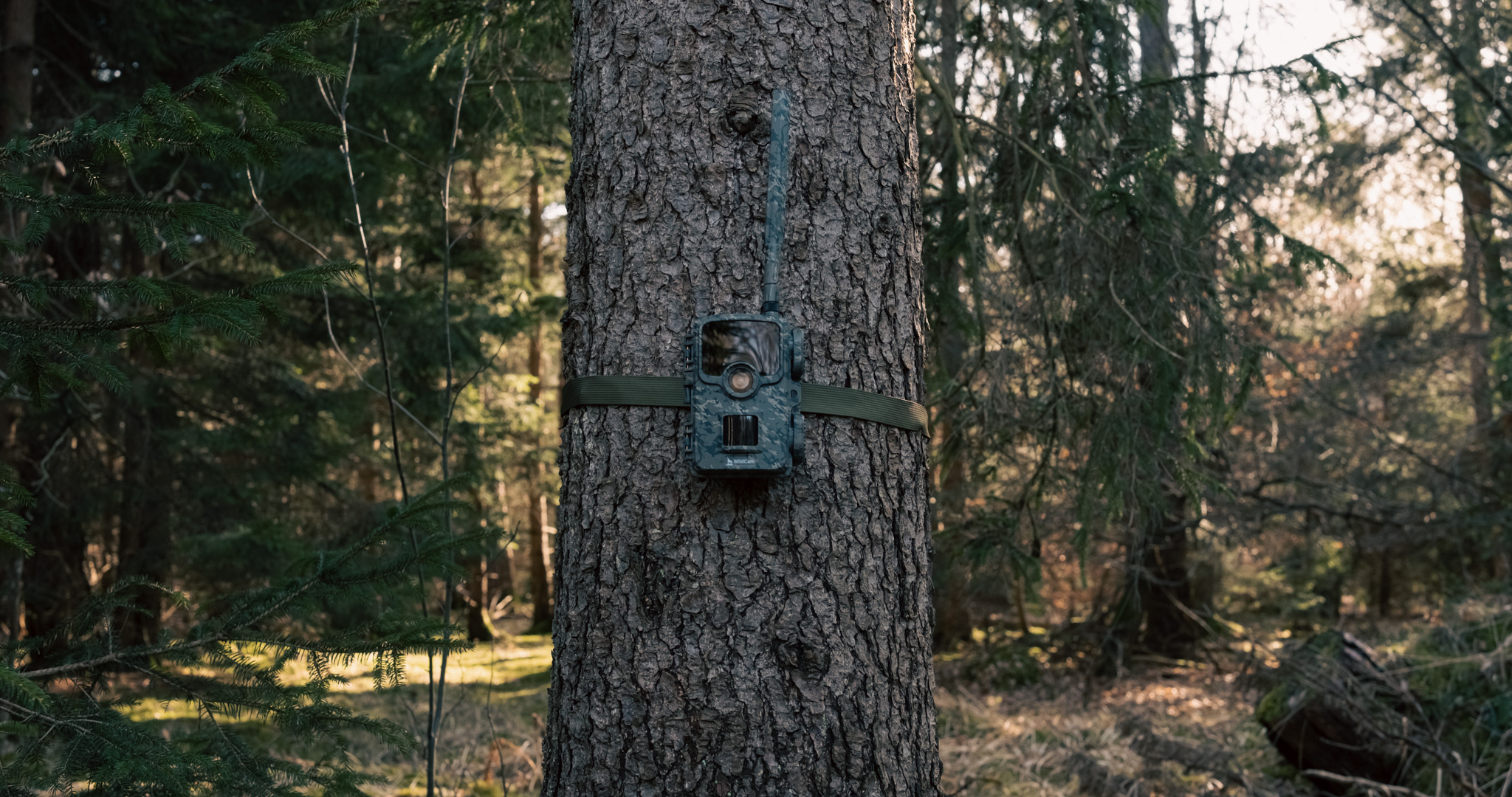 WildCam mobile connectivity